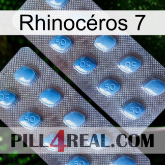 Rhinocéros 7 viagra4